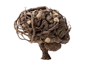 Bark Brain Vines Vinyl Car Decal Sticker – Waterproof & UV-Resistant 3.0933333333333333"