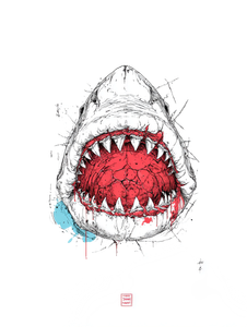 Shark Jaw Sticker Vinyl Car Decal Sticker – Waterproof & UV-Resistant 8.213333333333333"
