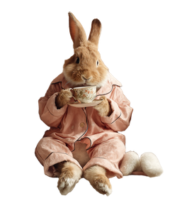 Rabbit In Pajamas V2 Vinyl Car Decal Sticker – Waterproof & UV-Resistant 8.0"