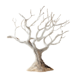 Driftwood Tree Vinyl Car Decal Sticker – Waterproof & UV-Resistant 3.4133333333333336"