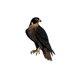 Peregrine Falcon Logo V3 Vinyl Car Decal Sticker – Waterproof & UV-Resistant 6.826666666666667"