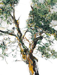 Colorful Tree Painting Vinyl Car Decal Sticker – Waterproof & UV-Resistant 8.213333333333333"