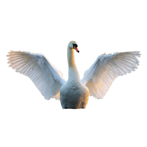 Swan With Wings Vinyl Car Decal Sticker – Waterproof & UV-Resistant 3.4133333333333336"