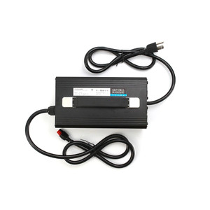 Fast Charge Power Supply | 1250W 48V DC Output | For ElecHive 2500 | High-Speed Charging | RoHS/CE/FCC Compliant