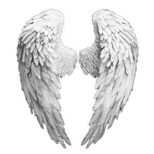 Angel Wings Realistic Contrast Vinyl Car Decal Sticker – Waterproof & UV-Resistant 4.0"
