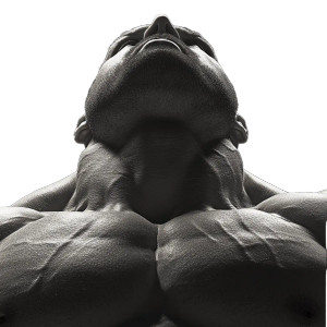 Bulky Pecs Closeup Vinyl Car Decal Sticker – Waterproof & UV-Resistant 4.0"