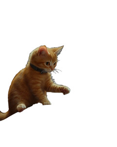Orange Tabby Cat Dj Xenomorphs Vinyl Car Decal Sticker – Waterproof & UV-Resistant 4.0" Orange Tabby Cat Dj Xenomorphs Vinyl Car Decal Sticker – Waterproof & UV-Resistant 4.0"