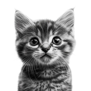 Hungry Kitten Miaus Vinyl Car Decal Sticker – Waterproof & UV-Resistant 4.0"