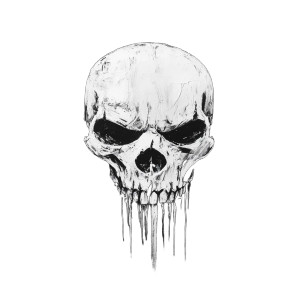 Punisher Skull Black White Vinyl Car Decal Sticker – Waterproof & UV-Resistant 4.0" Punisher Skull Black White Vinyl Car Decal Sticker – Waterproof & UV-Resistant 4.0"