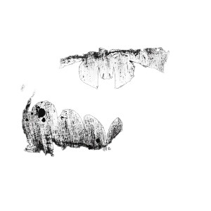 Batopia Logo Black Ink Vinyl Car Decal Sticker – Waterproof & UV-Resistant 4.0"