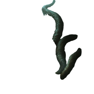 Eldritch Helical Cavern Vinyl Car Decal Sticker – Waterproof & UV-Resistant 4.0" Eldritch Helical Cavern Vinyl Car Decal Sticker – Waterproof & UV-Resistant 4.0"