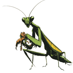 Praying Mantis Eating Partner Vinyl Car Decal Sticker – Waterproof & UV-Resistant 4.0"