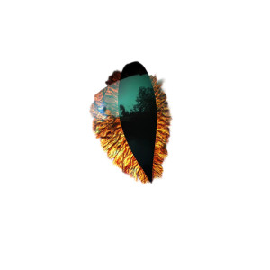 Dragon Eye Orange Gold Turquoise Vinyl Car Decal Sticker – Waterproof & UV-Resistant 4.0"