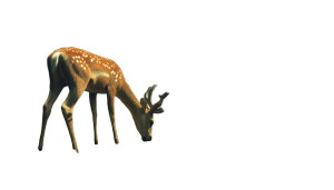 Deer Post Apocalyptic Lake Vinyl Car Decal Sticker – Waterproof & UV-Resistant 7.0" Deer Post Apocalyptic Lake Vinyl Car Decal Sticker – Waterproof & UV-Resistant 7.0"