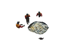 Fishing Ship Unloading Fish Vinyl Car Decal Sticker – Waterproof & UV-Resistant 7.22"