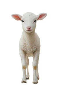 Lamb Full Body Oil Painting Vinyl Car Decal Sticker – Waterproof & UV-Resistant 4.48"