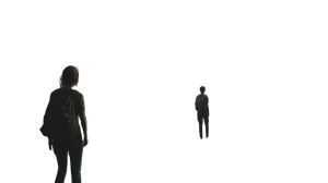 Last Of Us 2 Concept Art Vinyl Car Decal Sticker – Waterproof & UV-Resistant 7.14"