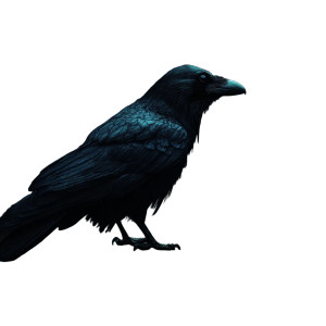 Raven Town Night Vintage Vinyl Car Decal Sticker – Waterproof & UV-Resistant 4.0" Raven Town Night Vintage Vinyl Car Decal Sticker – Waterproof & UV-Resistant 4.0"