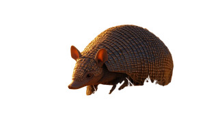 Armadillo Dry Grassland Sun Vinyl Car Decal Sticker – Waterproof & UV-Resistant 7.14"