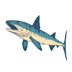Barracuda Side Profile Minimalist Vinyl Car Decal Sticker – Waterproof & UV-Resistant 4.0"