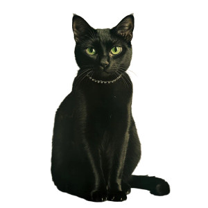 Black Cat Green Eyes Vinyl Car Decal Sticker – Waterproof & UV-Resistant 4.0"
