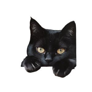 Black Cat Window Street Vinyl Car Decal Sticker – Waterproof & UV-Resistant 4.0"