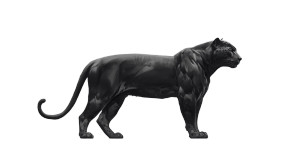 Black Jaguar Majestic Right Vinyl Car Decal Sticker – Waterproof & UV-Resistant 7.14" Black Jaguar Majestic Right Vinyl Car Decal Sticker – Waterproof & UV-Resistant 7.14"