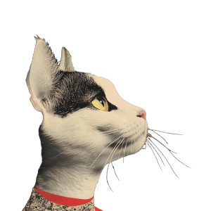 Cat High Contrast Surreal Vinyl Car Decal Sticker – Waterproof & UV-Resistant 4.0" Cat High Contrast Surreal Vinyl Car Decal Sticker – Waterproof & UV-Resistant 4.0"
