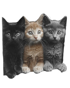 Crack In Window Kittens Vinyl Car Decal Sticker – Waterproof & UV-Resistant 4.0"