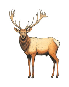 Elk Antlers Crumb Style Vinyl Car Decal Sticker – Waterproof & UV-Resistant 4.0"