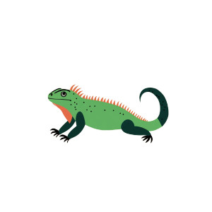 Flat Iguana Vector Vinyl Car Decal Sticker – Waterproof & UV-Resistant 4.0" Flat Iguana Vector Vinyl Car Decal Sticker – Waterproof & UV-Resistant 4.0"