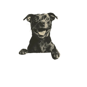 Happy Dog Cardboard Box Vinyl Car Decal Sticker – Waterproof & UV-Resistant 4.0"