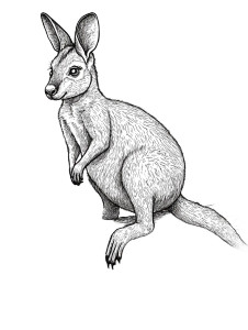 Happy Wallaby Log Vinyl Car Decal Sticker – Waterproof & UV-Resistant 4.0" Happy Wallaby Log Vinyl Car Decal Sticker – Waterproof & UV-Resistant 4.0"