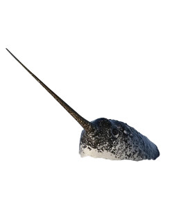 Narwhal Arctic Water Vinyl Car Decal Sticker – Waterproof & UV-Resistant 4.0"