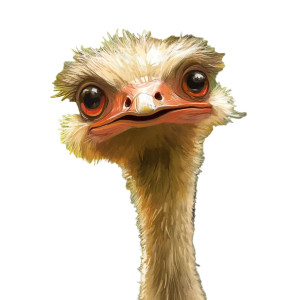 Ostrich Natural Habitat Comic Vinyl Car Decal Sticker – Waterproof & UV-Resistant 4.0"