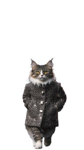 Fashion Cat Chanel Runway Vinyl Car Decal Sticker – Waterproof & UV-Resistant 4.0"