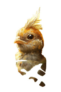 Quail Peeking Grass Vinyl Car Decal Sticker – Waterproof & UV-Resistant 4.0"