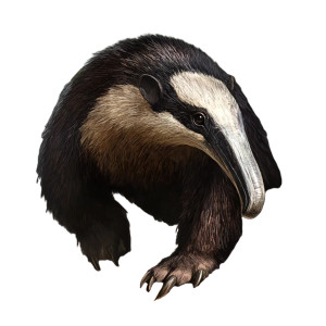 Realistic Giant Anteater Vinyl Car Decal Sticker – Waterproof & UV-Resistant 4.0" Realistic Giant Anteater Vinyl Car Decal Sticker – Waterproof & UV-Resistant 4.0"