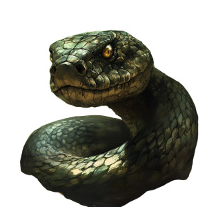 Rugged Druid Snake Vinyl Car Decal Sticker – Waterproof & UV-Resistant 4.0"