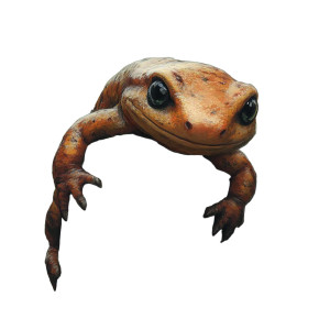 Salamander Wooden Post Viewer Vinyl Car Decal Sticker – Waterproof & UV-Resistant 4.0"
