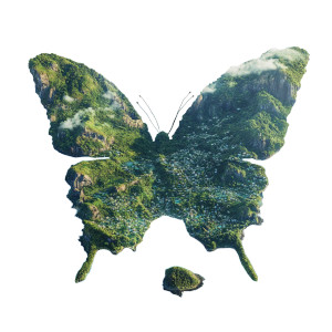 Guadeloupe Butterfly 3D Vinyl Car Decal Sticker – Waterproof & UV-Resistant 4.0"