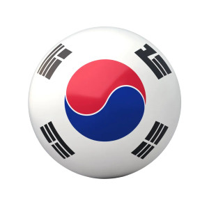 Korean Flag 3D Vinyl Car Decal Sticker – Waterproof & UV-Resistant 4.0"