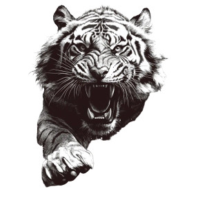 Majestic Tiger Vintage Vector Vinyl Car Decal Sticker – Waterproof & UV-Resistant 4.0"