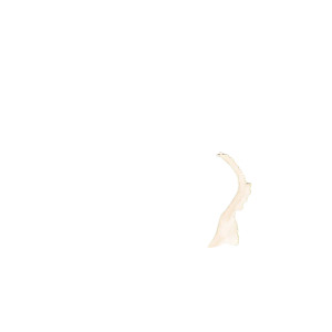 Seychelles Aerial View Vinyl Car Decal Sticker – Waterproof & UV-Resistant 4.0"