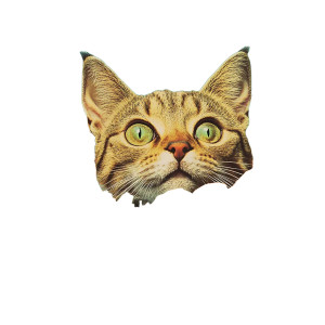 Surreal Cat Poppy Field Vinyl Car Decal Sticker – Waterproof & UV-Resistant 4.0" Surreal Cat Poppy Field Vinyl Car Decal Sticker – Waterproof & UV-Resistant 4.0"