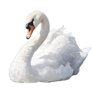 Swan Watercolor Painting Vinyl Car Decal Sticker – Waterproof & UV-Resistant 4.0"