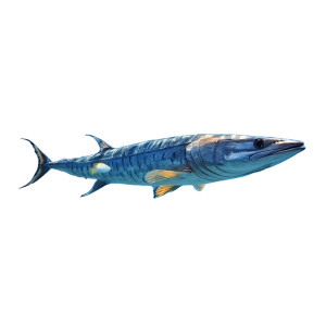 Underwater Barracuda Tropical Fishes Vinyl Car Decal Sticker – Waterproof & UV-Resistant 4.0"