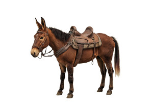 Upright Mule Saddle Beige Vinyl Car Decal Sticker – Waterproof & UV-Resistant 5.66"