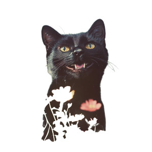 Vintage Black Cat Smiling Vinyl Car Decal Sticker – Waterproof & UV-Resistant 4.0"