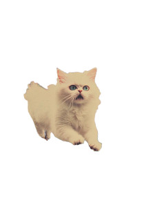 Vintage Cat Laser Aliens Vinyl Car Decal Sticker – Waterproof & UV-Resistant 4.0"